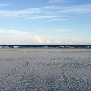 Meet your Posher, Susie